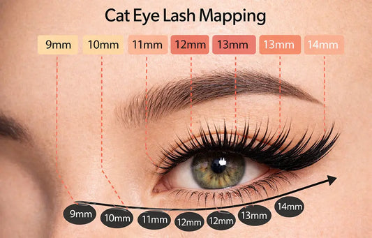 Lash Map Guide: How to Choose 8–18mm Lengths for Your Eye Shape