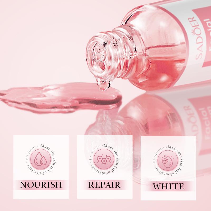 30e8202f-6f2e-4f8f-91f8-79ee49296f39